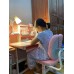 Bàn Học Sinh Chống Gù A16+ Màu Hồng